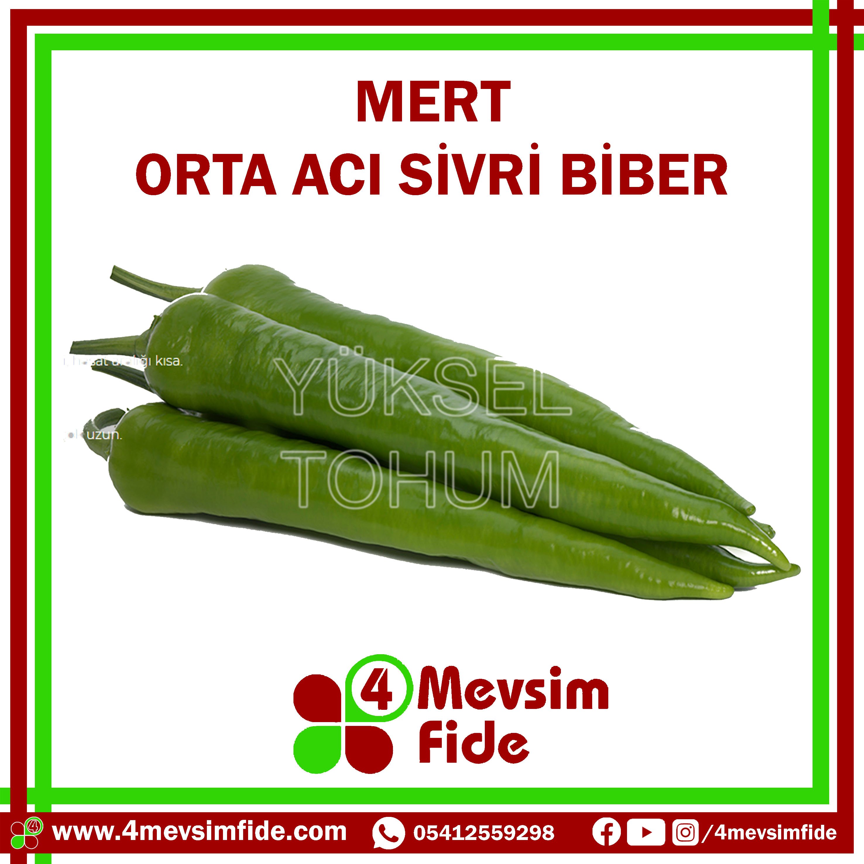 Mert F1 Acı Sivri Biber